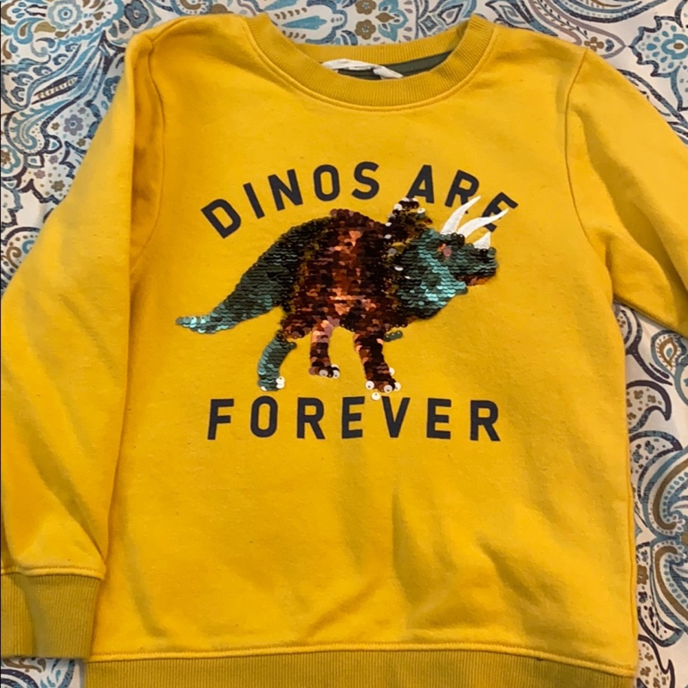 Dino H&M sweater